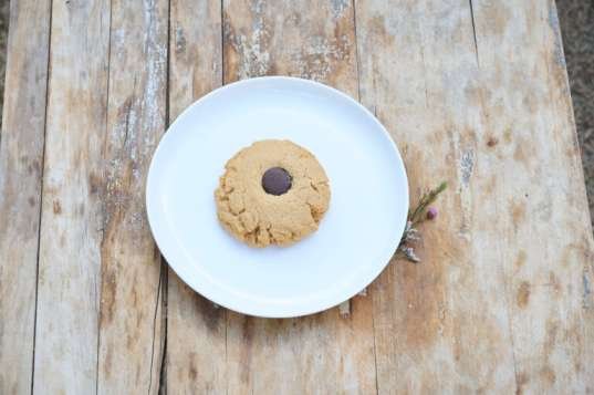 PEANUT BUTTER COOKIE